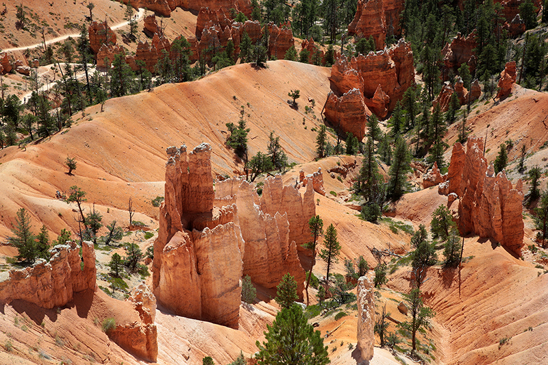 Bryce Canyon : Utah : Landscape Photos : Richard Moore : Photographer